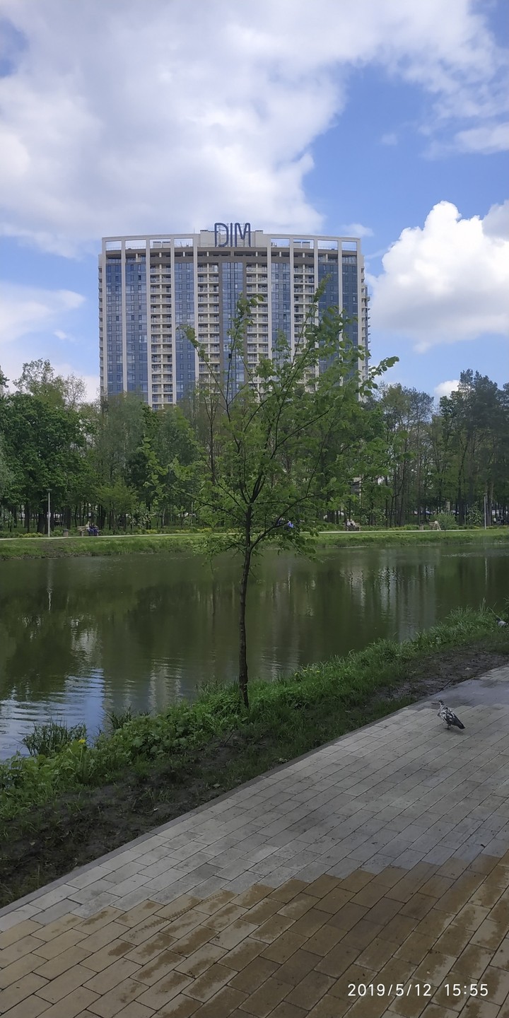 Парк и озеро
