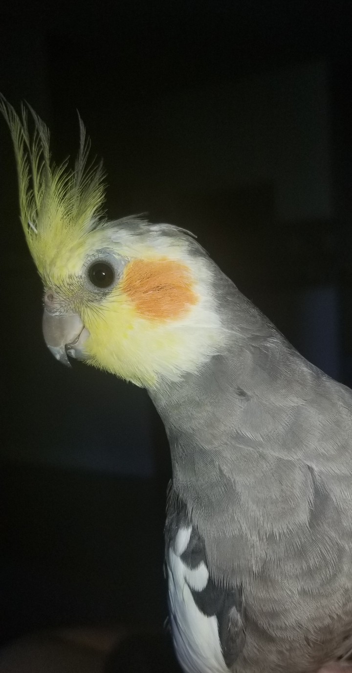 ?