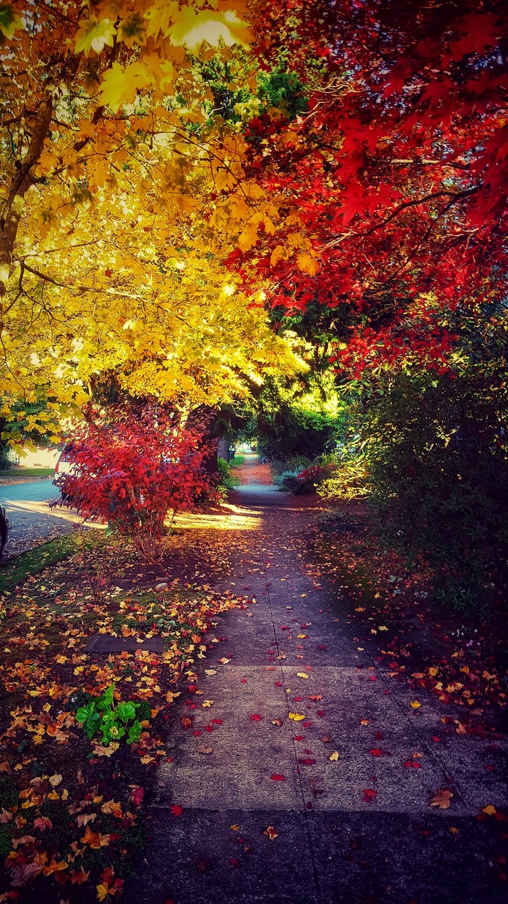 Hello Autumn.