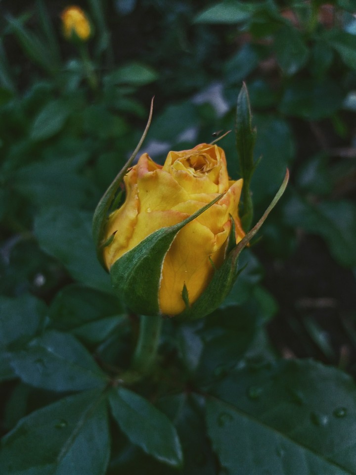 ?
