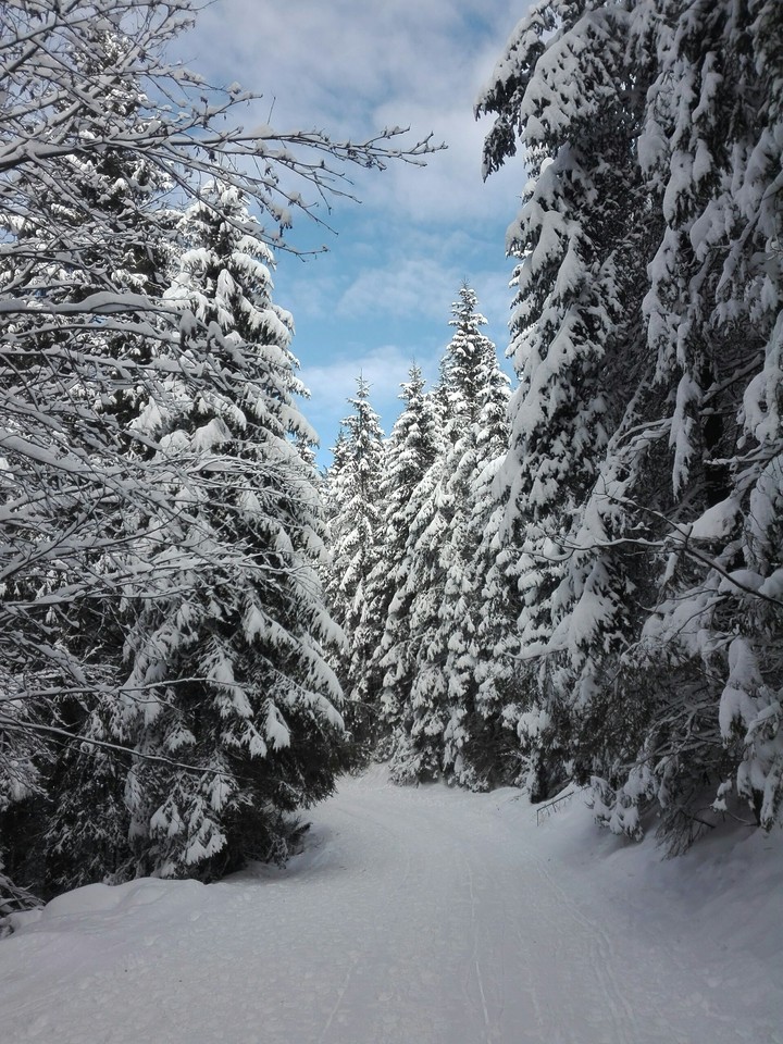 Winter