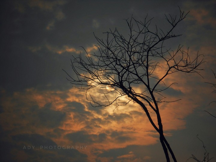 cloudy Sunset !
