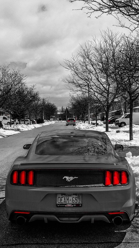 Ford mustang