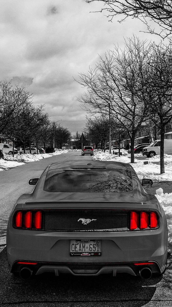 Ford mustang