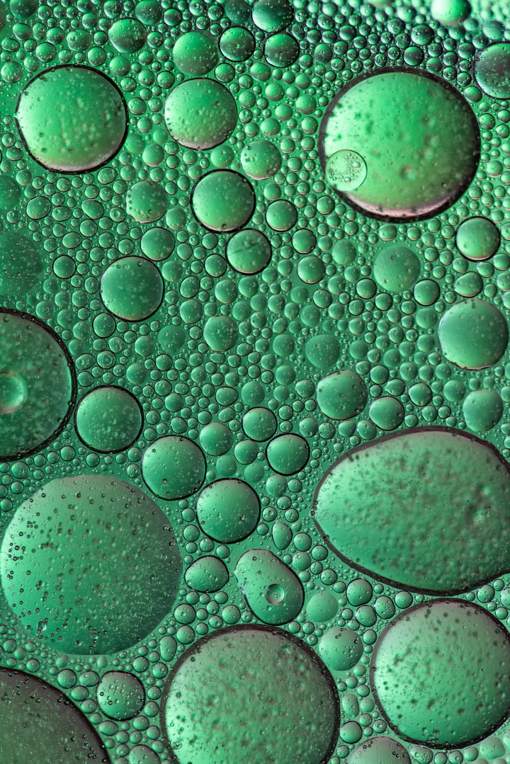 water on green surface