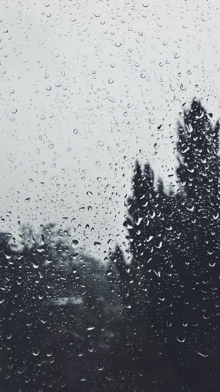 Rain°