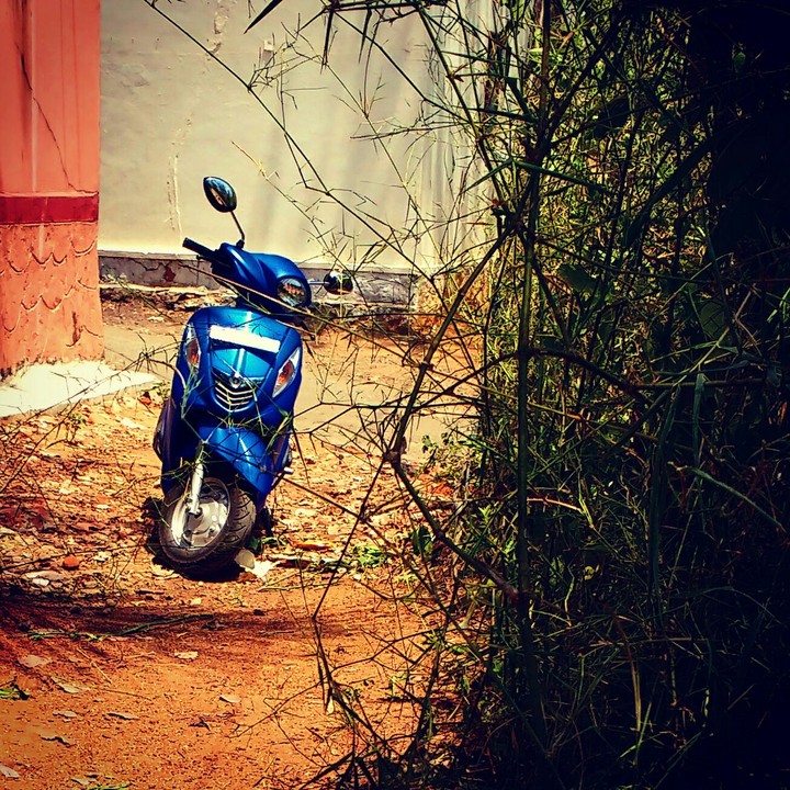 rider