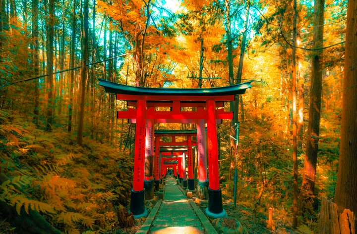 japan