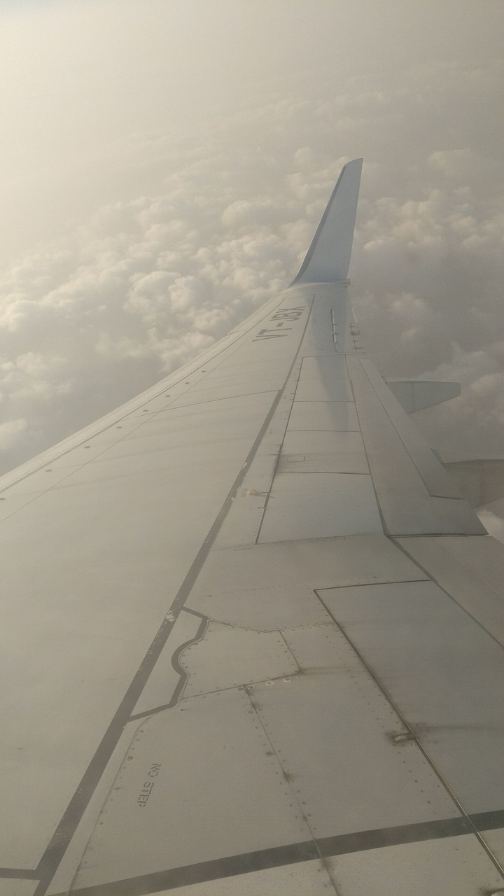 Fly High