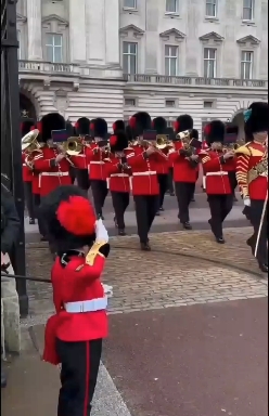 ⚜️ Sam ⚜️