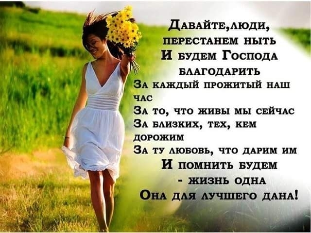 жизнь