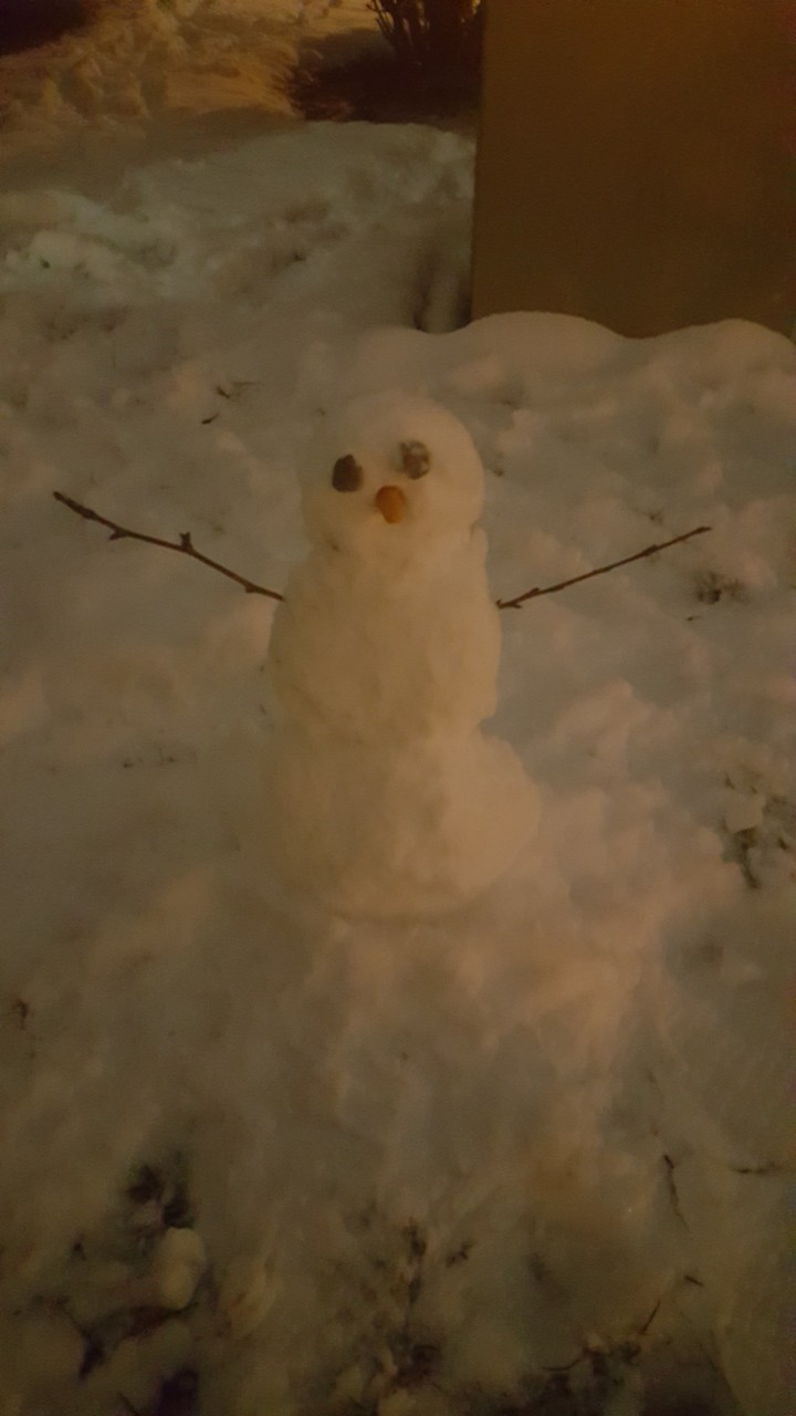 snow man