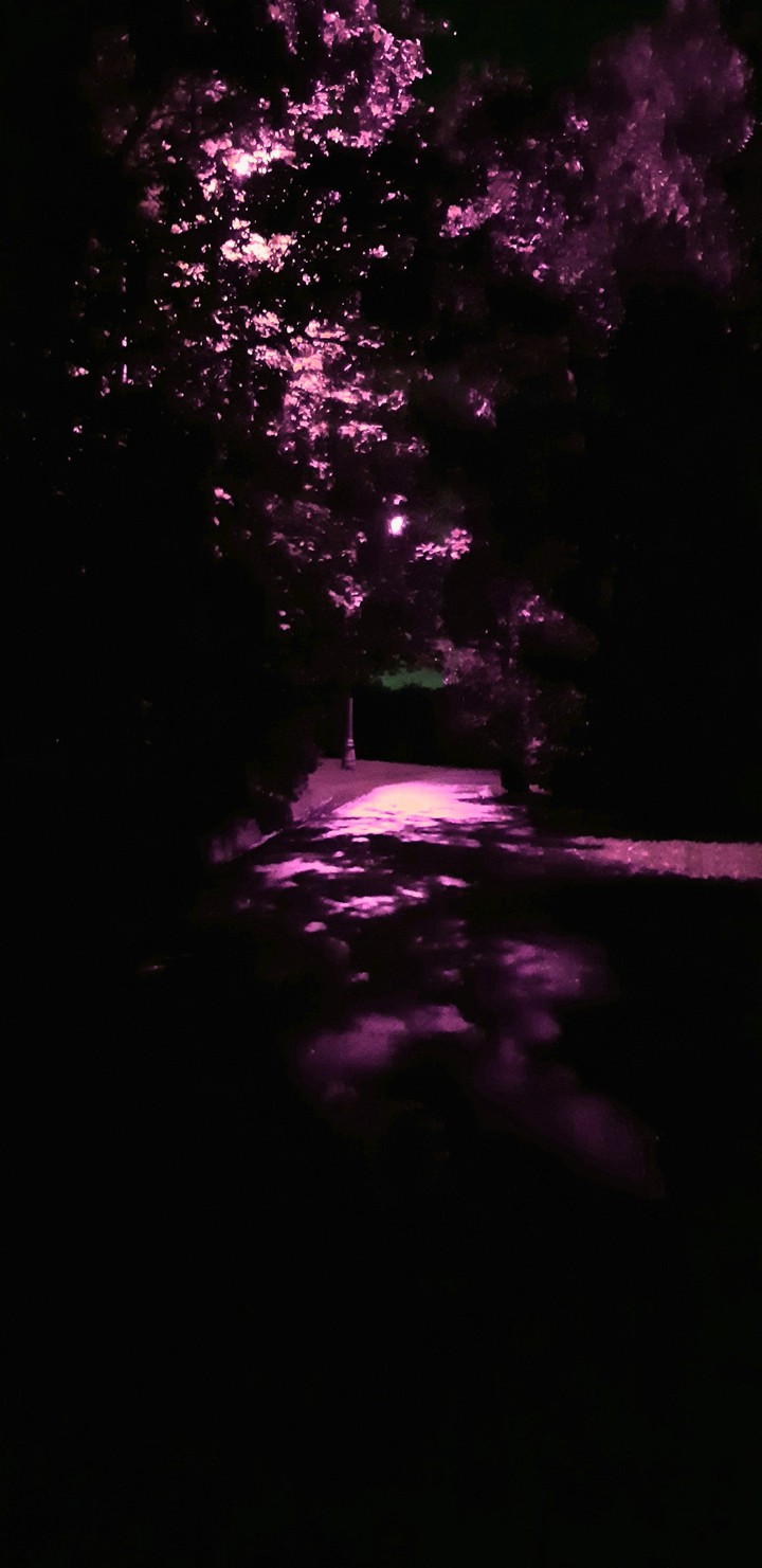 neon night