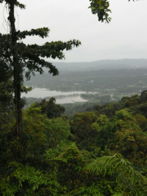 mount harriet