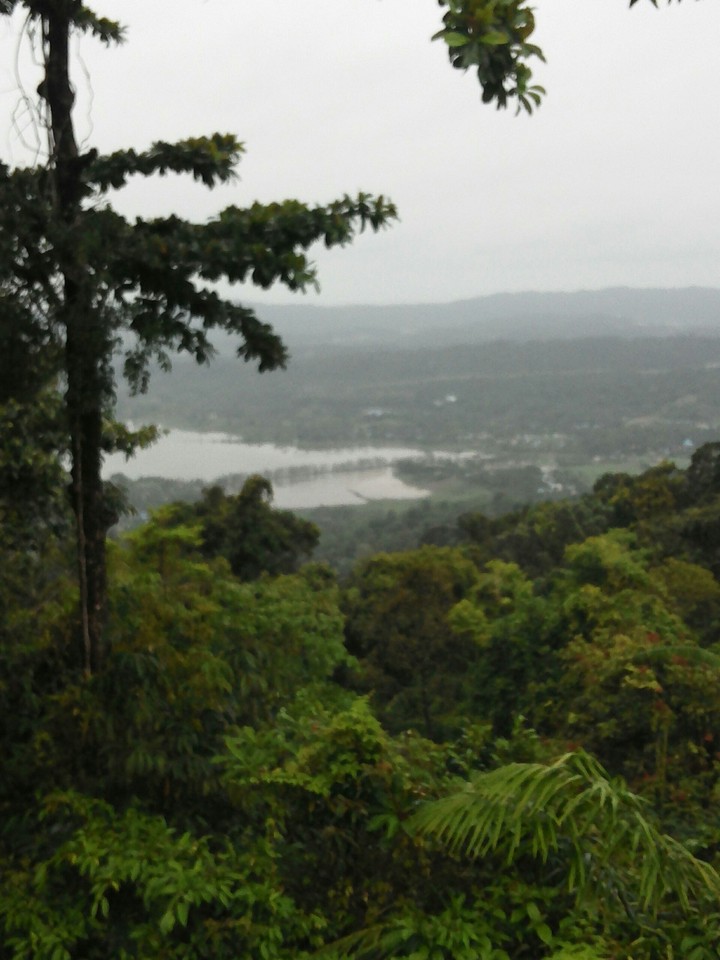 mount harriet