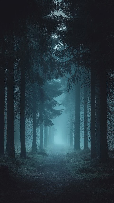 fonds d'écran forest, woodland