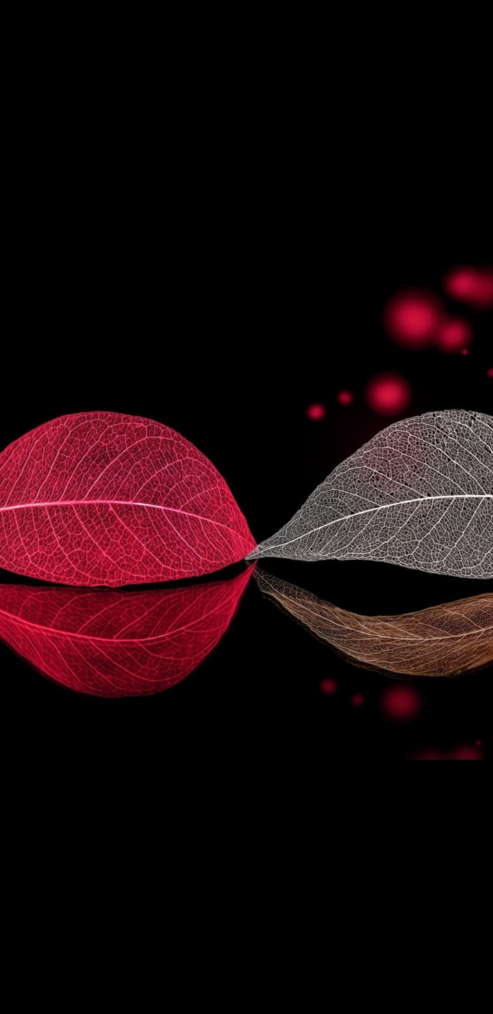Twin Leaf 1440×2960