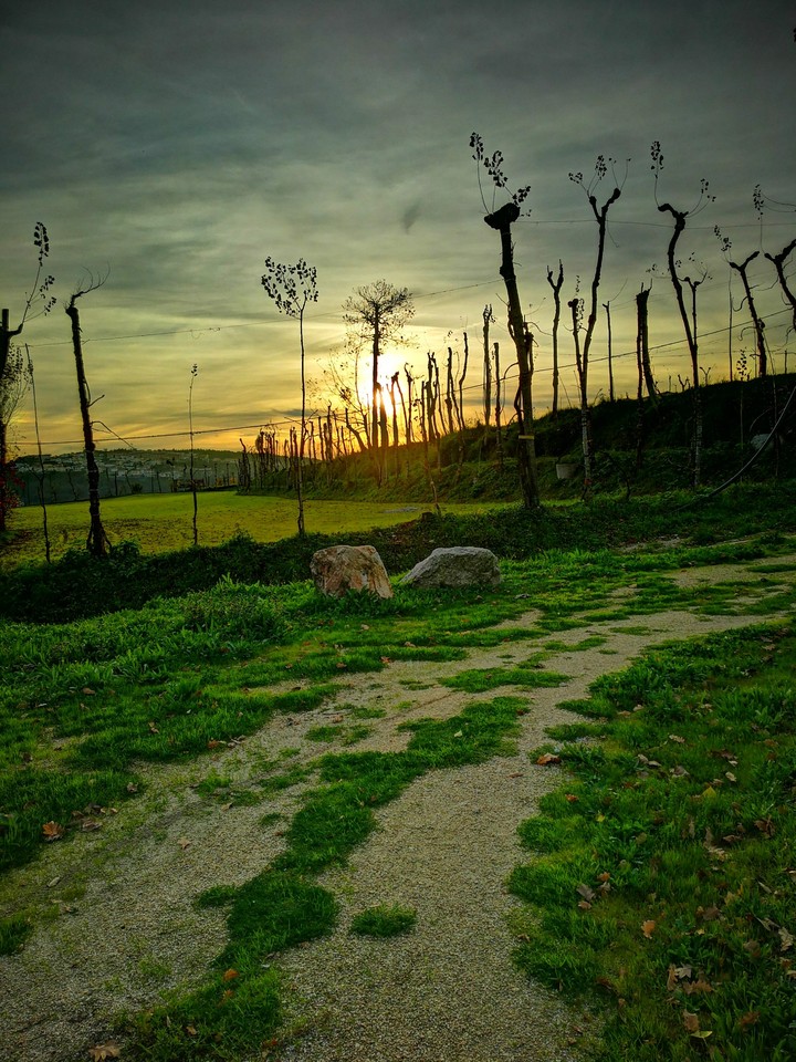 sunset