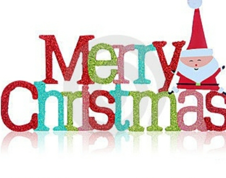 We wish you a Merry Christmas and  Happy New Year!