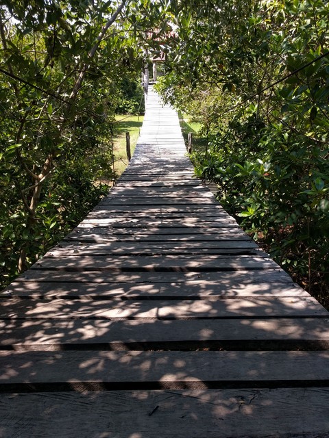suspension bridge