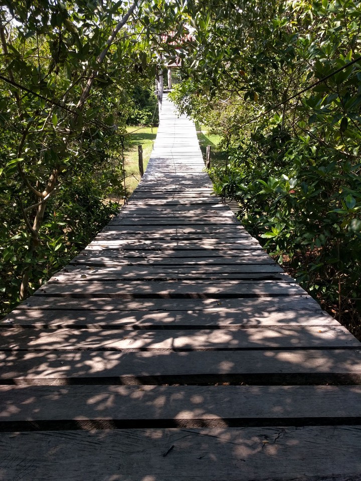 suspension bridge