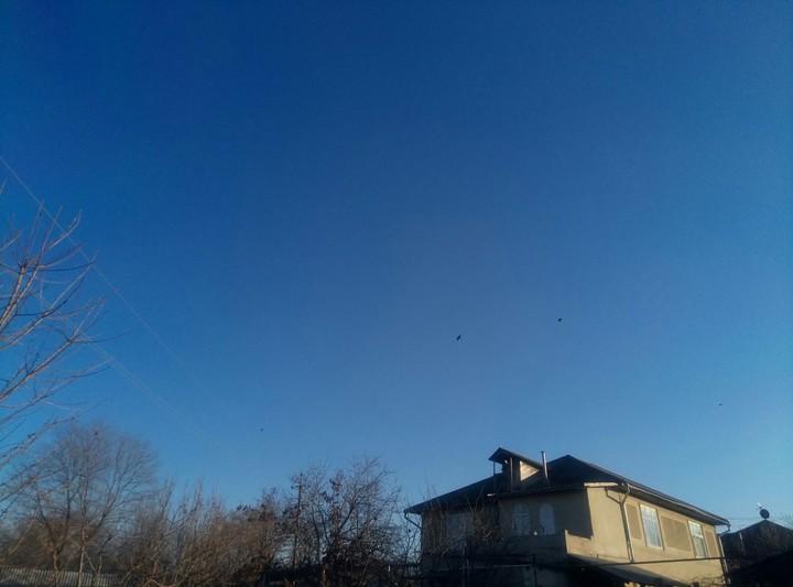 Весна всё ближе