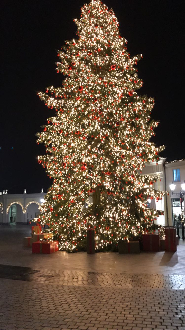 Berlin christmas tree