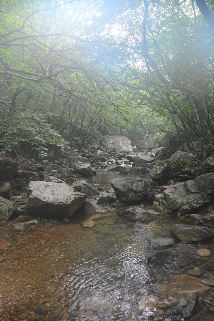 중미산이미지