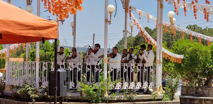 the mariachi