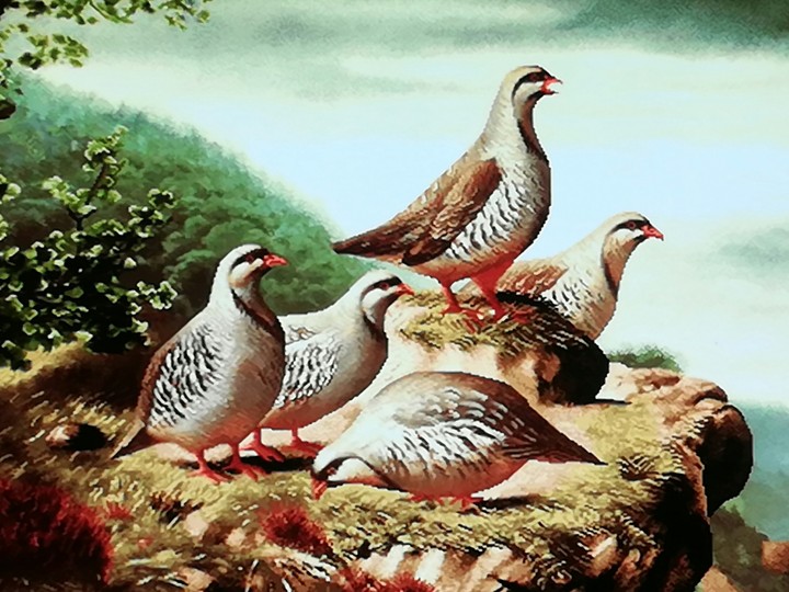 carpet panel