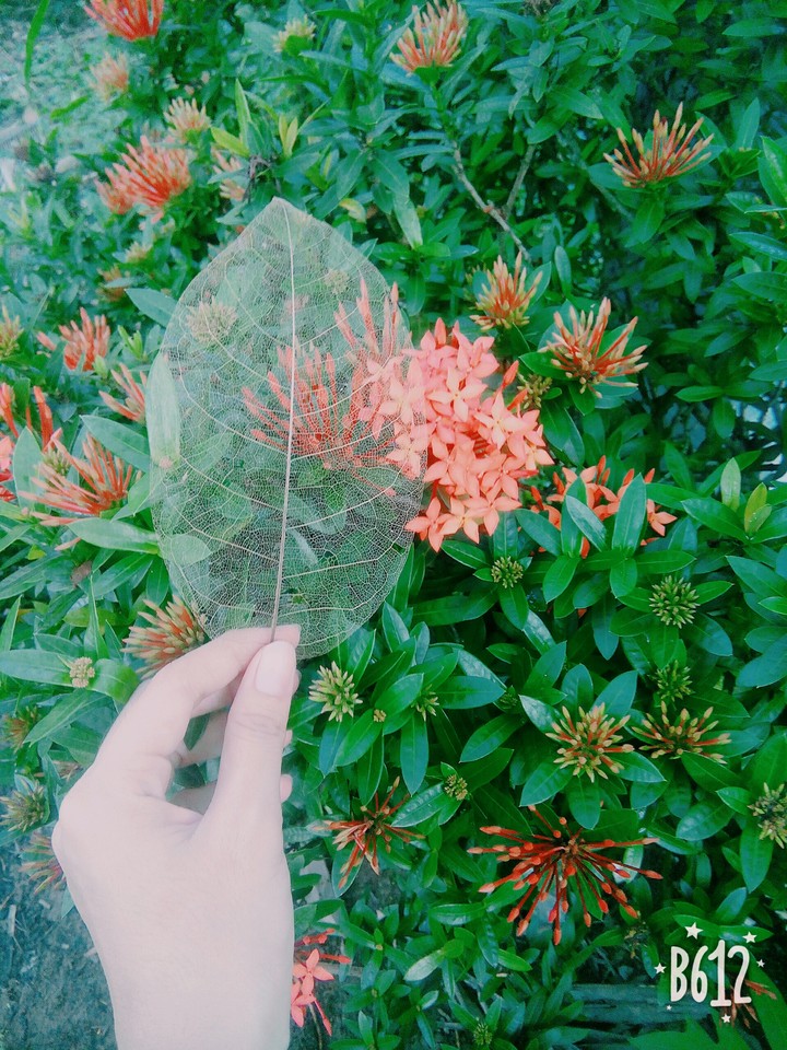 ❤