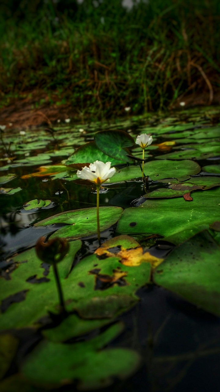 today click
