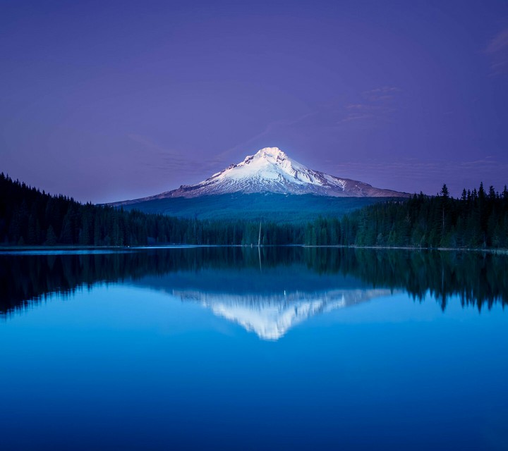 Mount