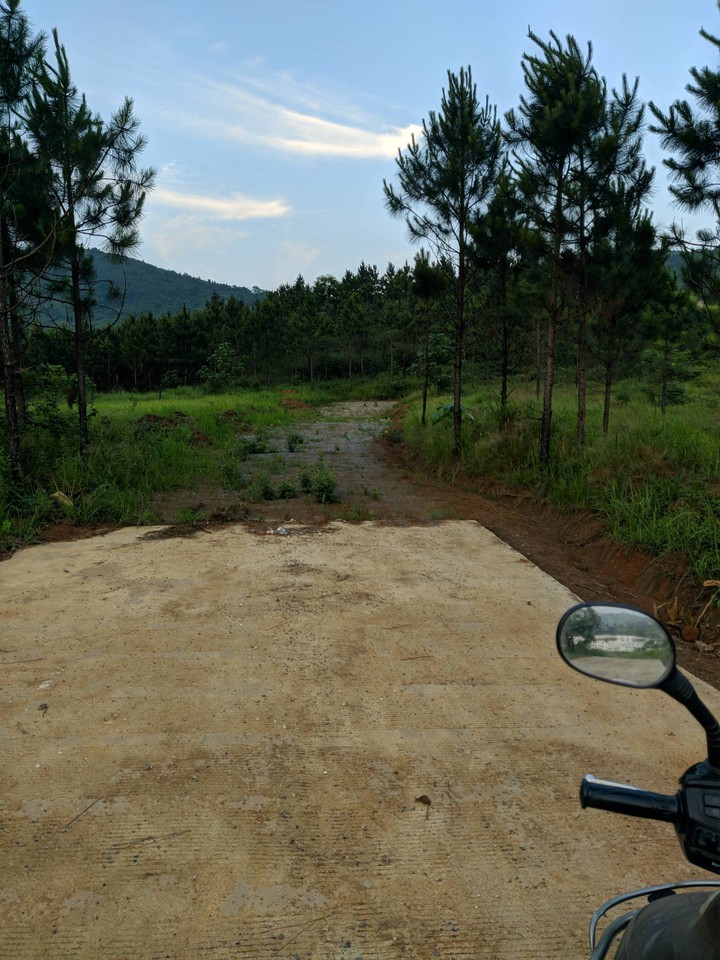 where is the road?