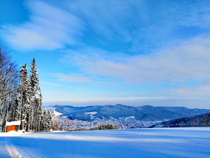 Winter Wonderland