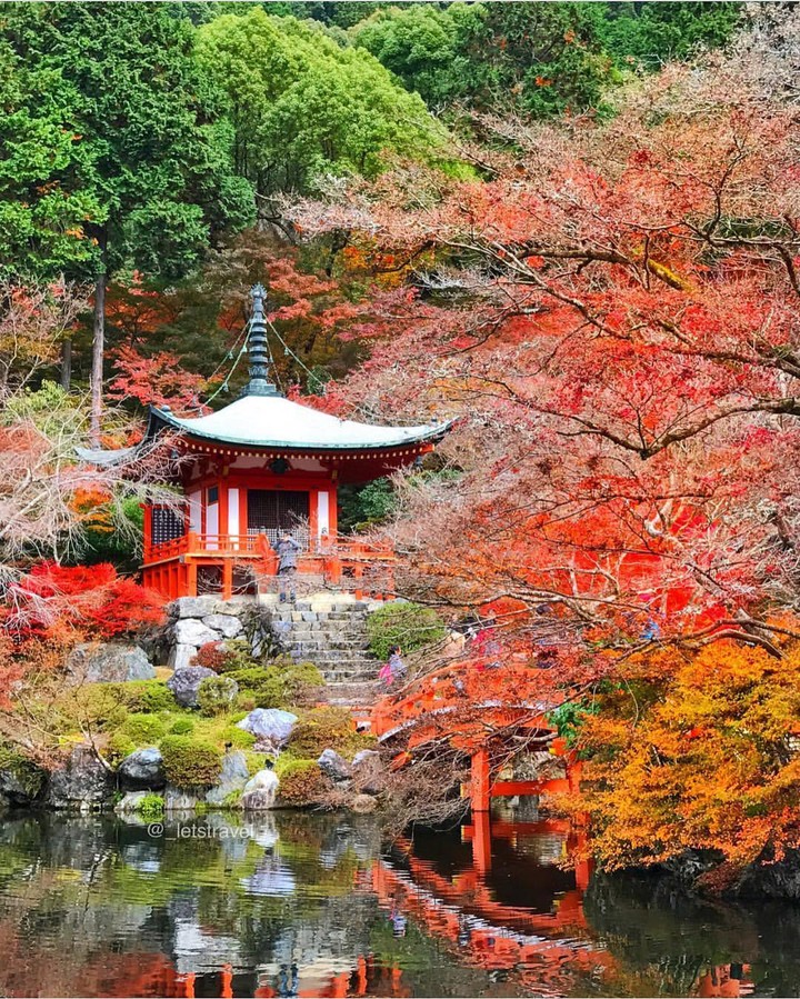 fall in #love with #kyoto in the #autumn