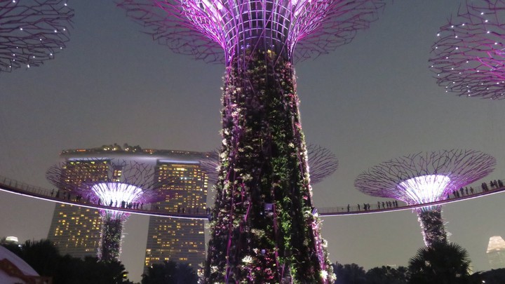 Supertree Grove