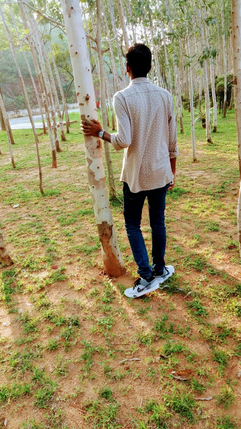 The Art of nature