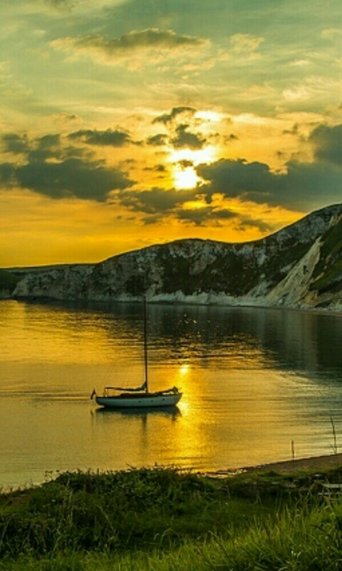 belle image