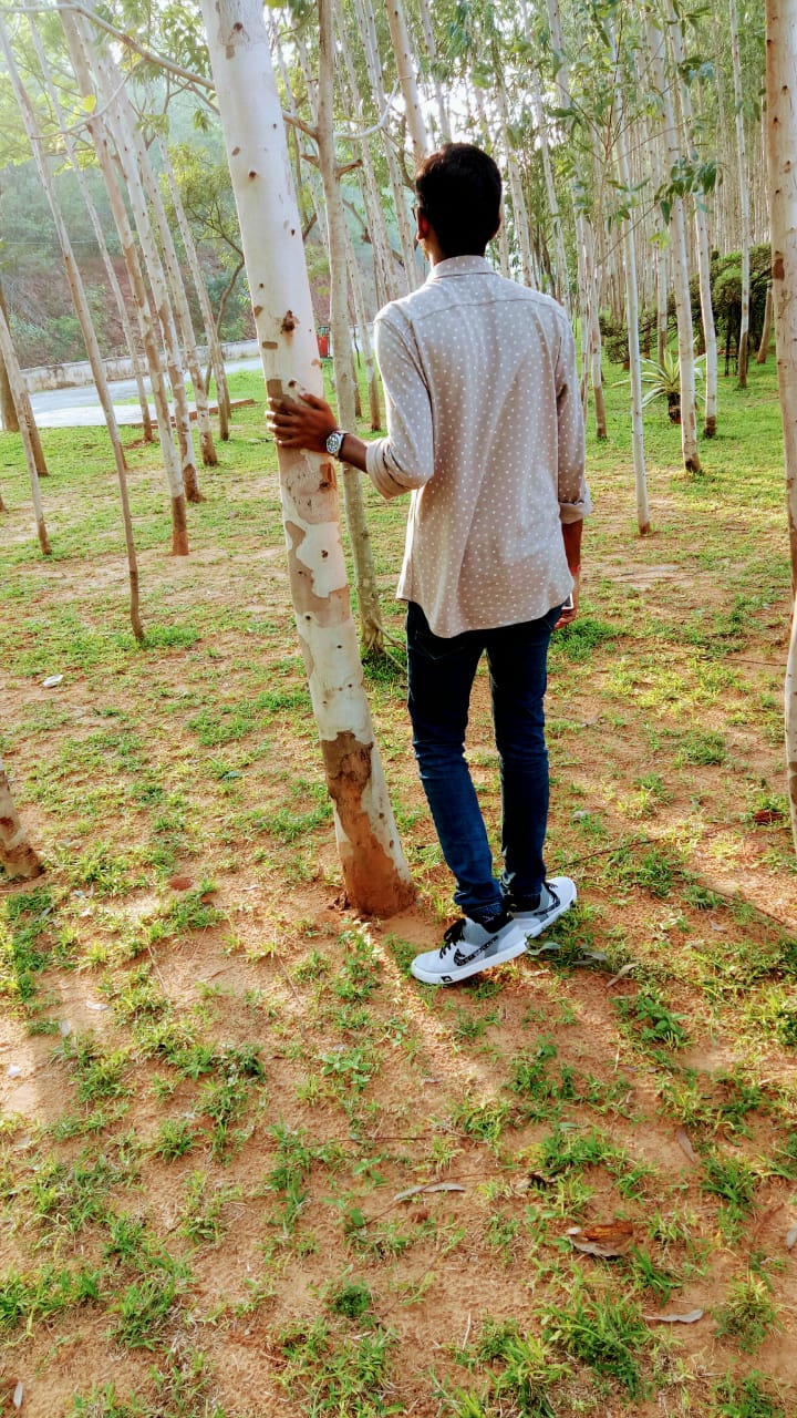 The Art of nature