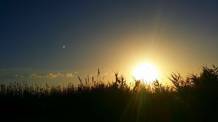 sun