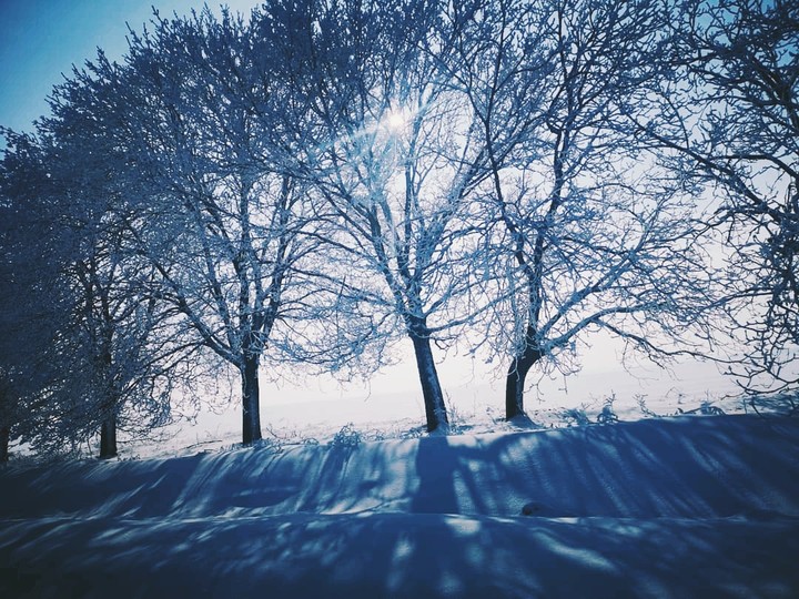 winter