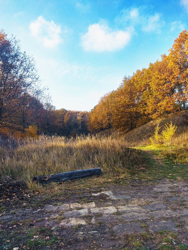 autumn