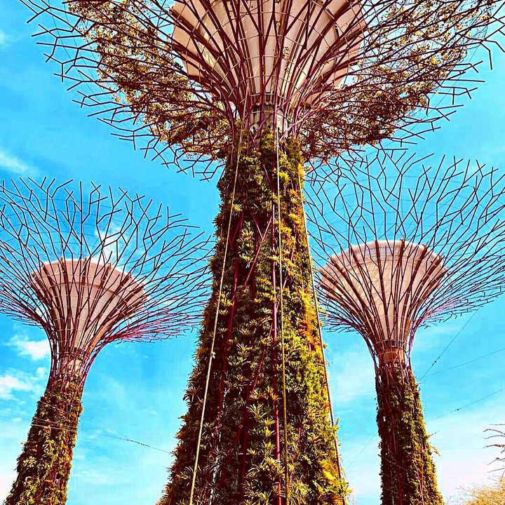 ,.,.,.,.,.,.,.,.,.,.,.*,.,.,.,.,.,.,.,.,