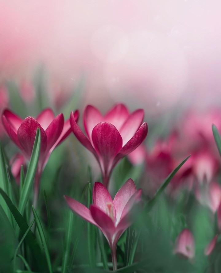 beauty...