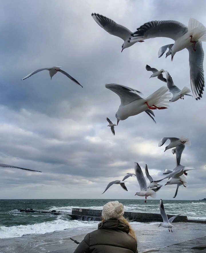 Let's fly away