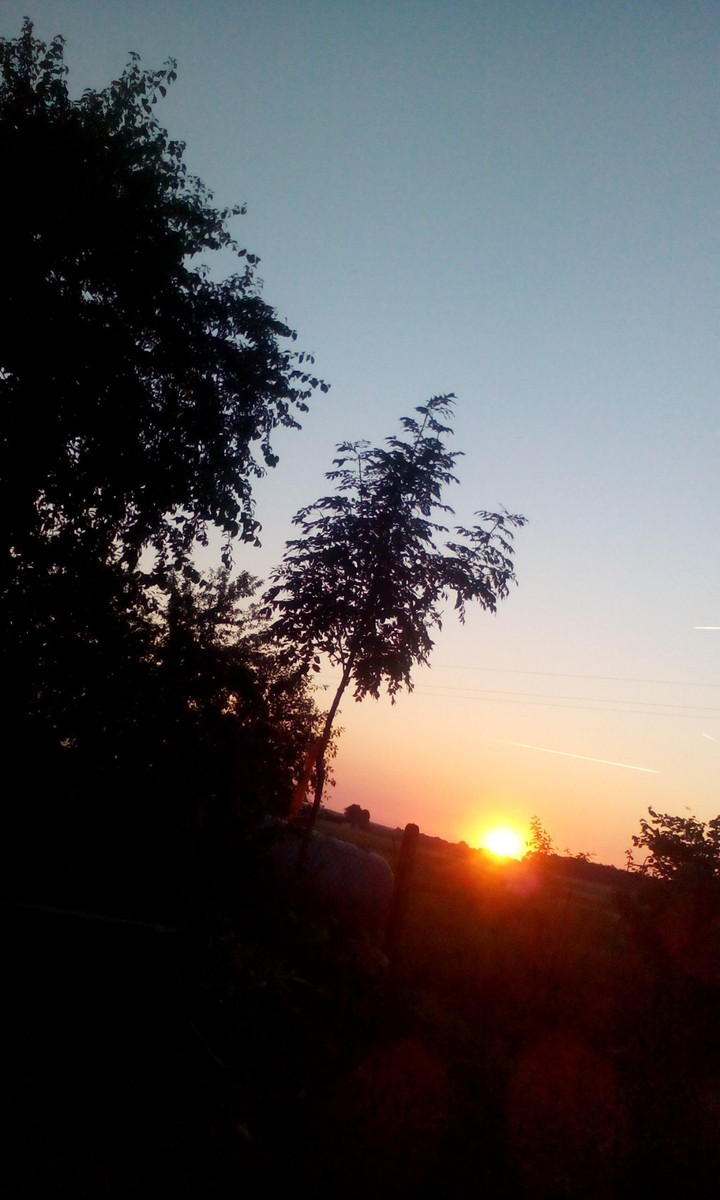 Beautiful Sky