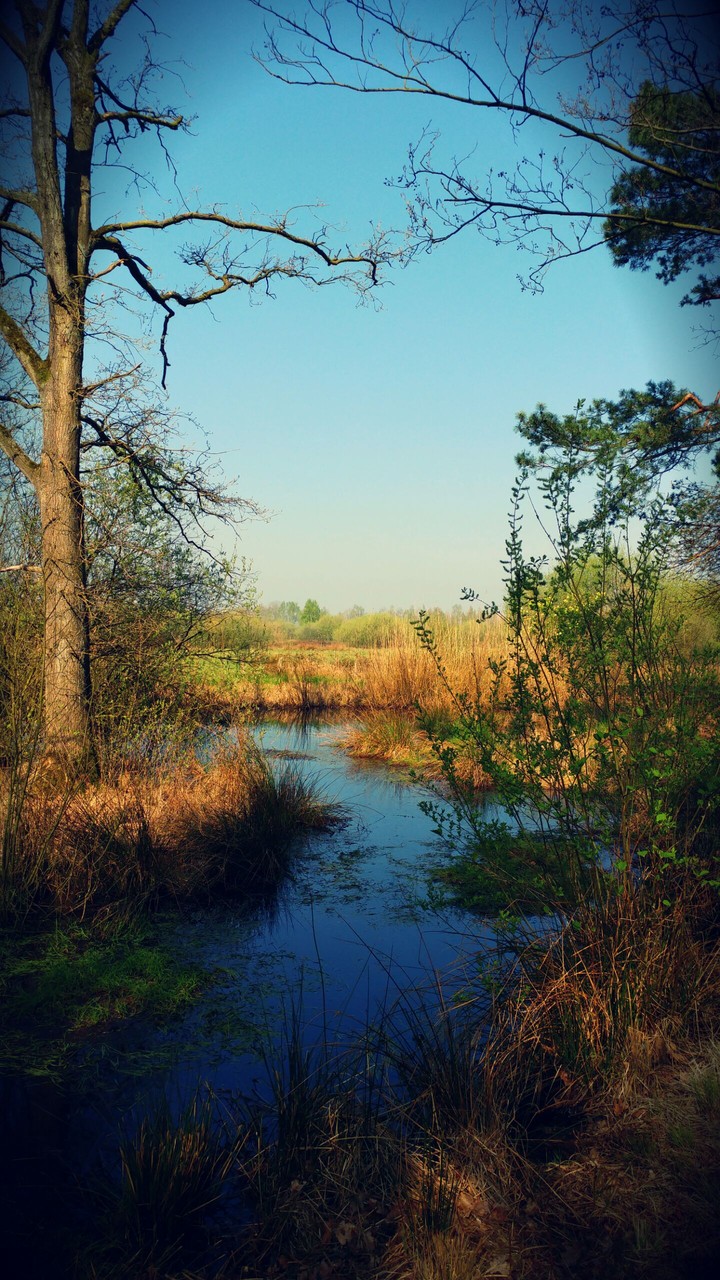 Start of spring