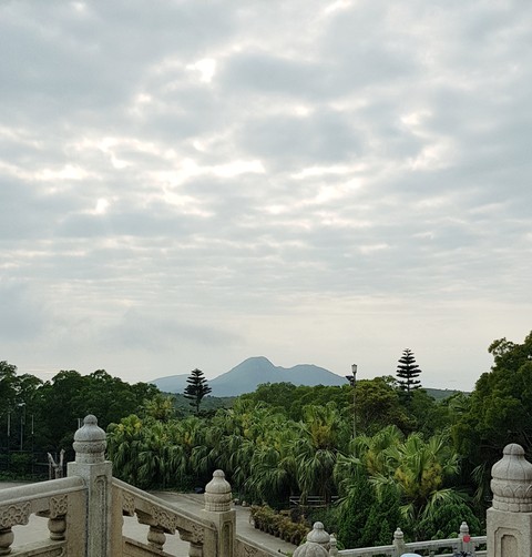 Nong ping, Hong Kong
