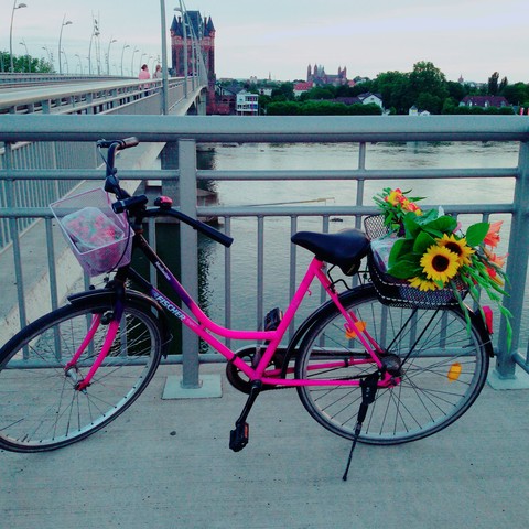 bicycle